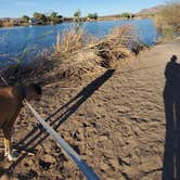 Review photo of Fortuna Pond - CLOSED by Beth M., March 21, 2022