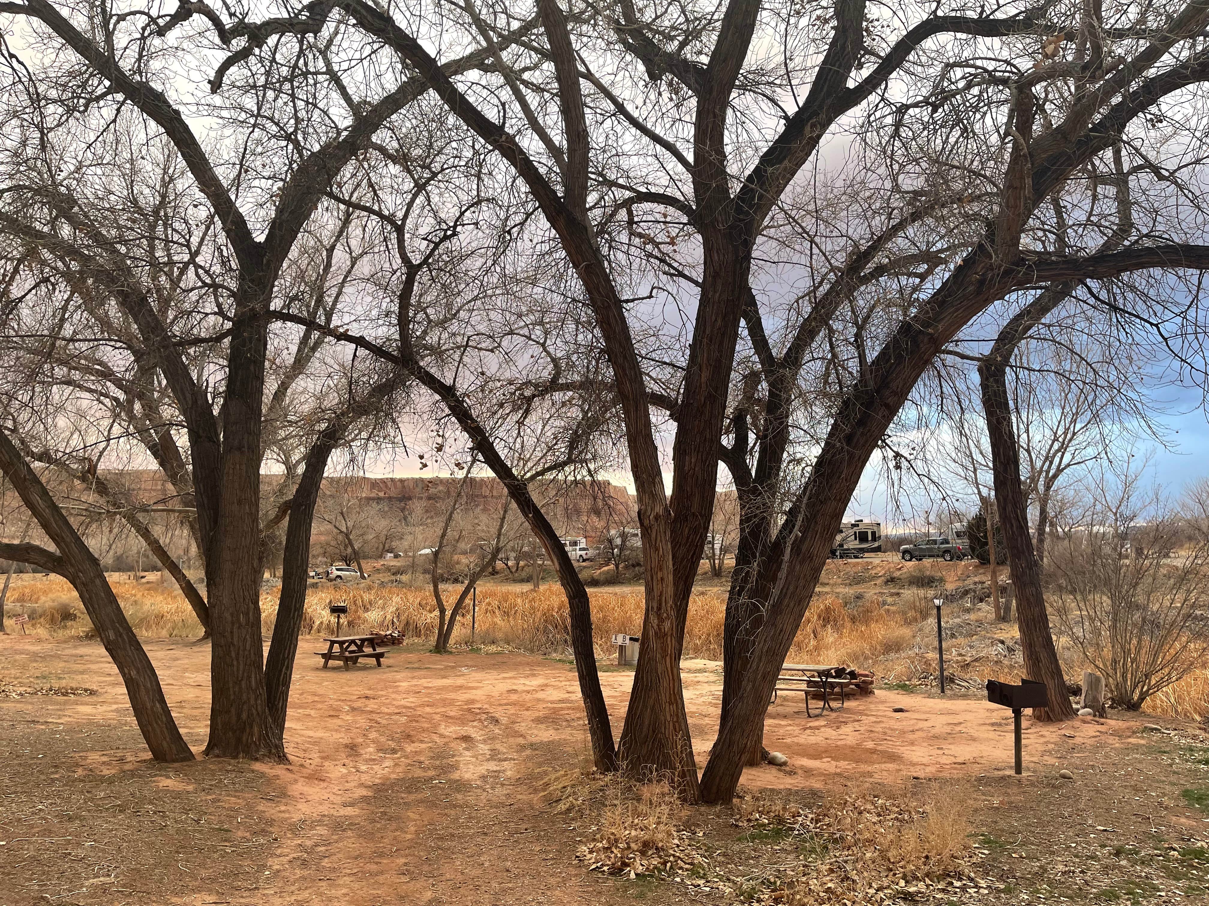 Camper submitted image from Cadillac Ranch RV Park - 5