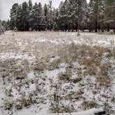 Review photo of Walnut Canyon Rd Dispersed Camping - CLOSED UNTIL 2025 by Spiritwalker S., March 21, 2022