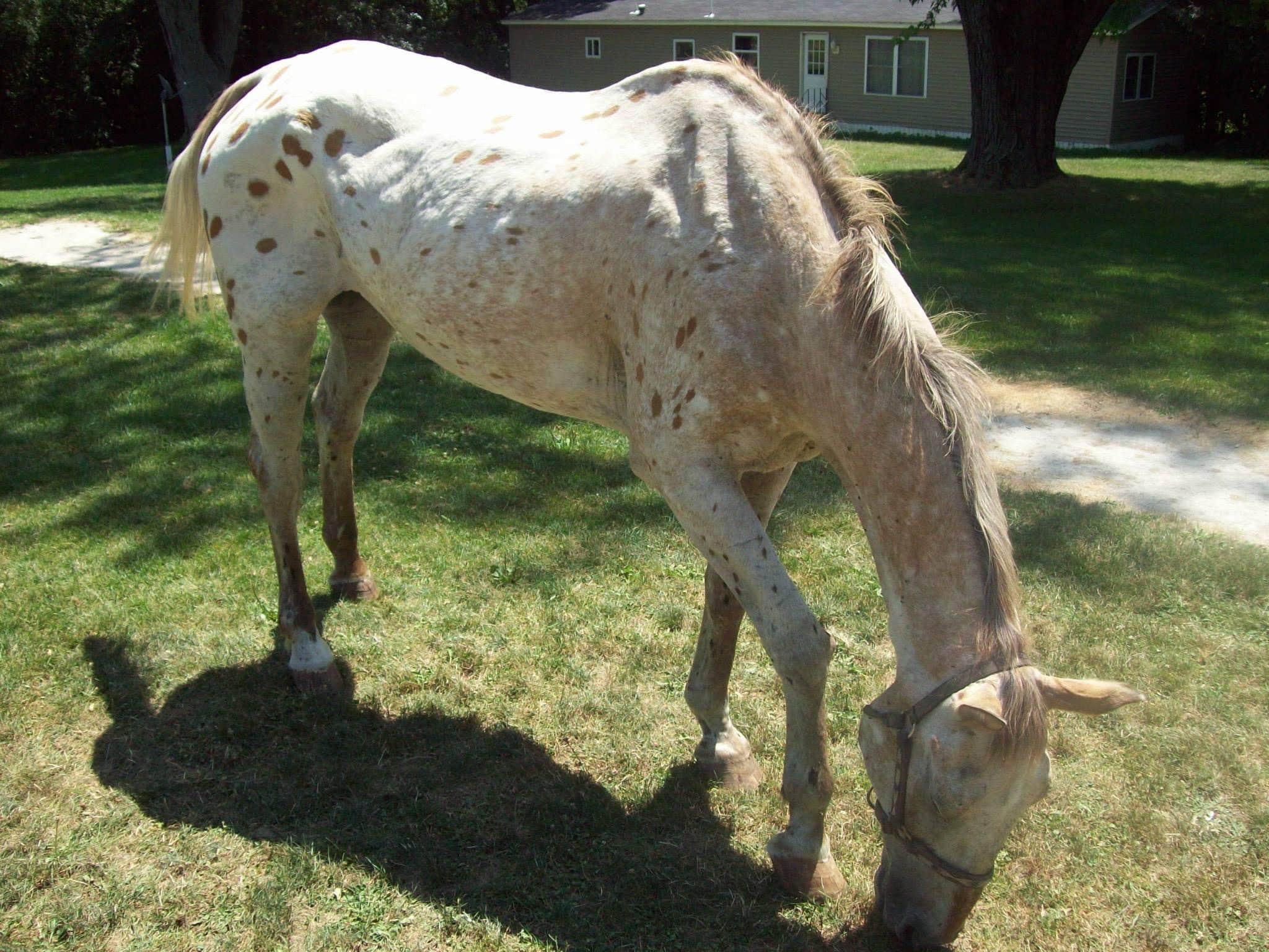 Camper-submitted photo at Chain O'Lakes Campground near Irma, WI