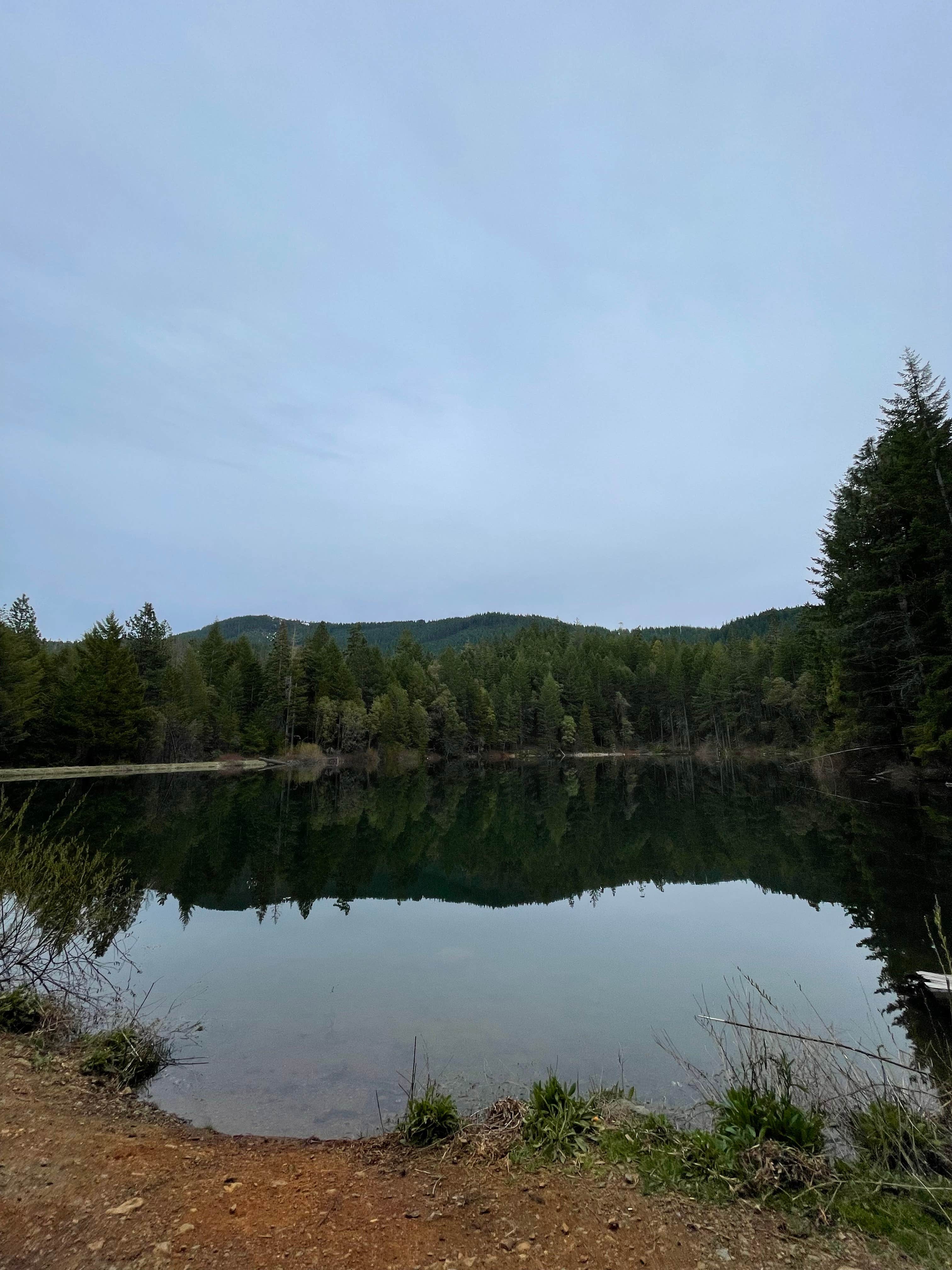 Hannah  S.'s photo of a dispersed camping area at Burma Pond BLM near Oakland, OR