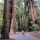 Review photo of Jedidiah Smith Campground — Redwood National Park by Hannah  S., March 21, 2022