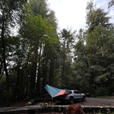 Review photo of Jedidiah Smith Campground — Redwood National Park by Hannah  S., March 21, 2022