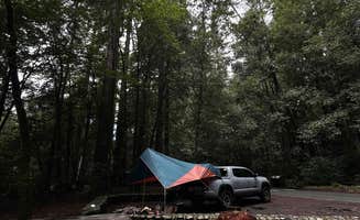 Hannah S.'s photo at Jedediah Smith Redwoods State Park Campground near Fort Dick, CA