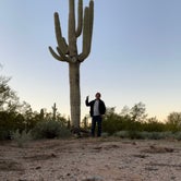 Review photo of Cactus Forest Dispersed by Jared S., March 21, 2022