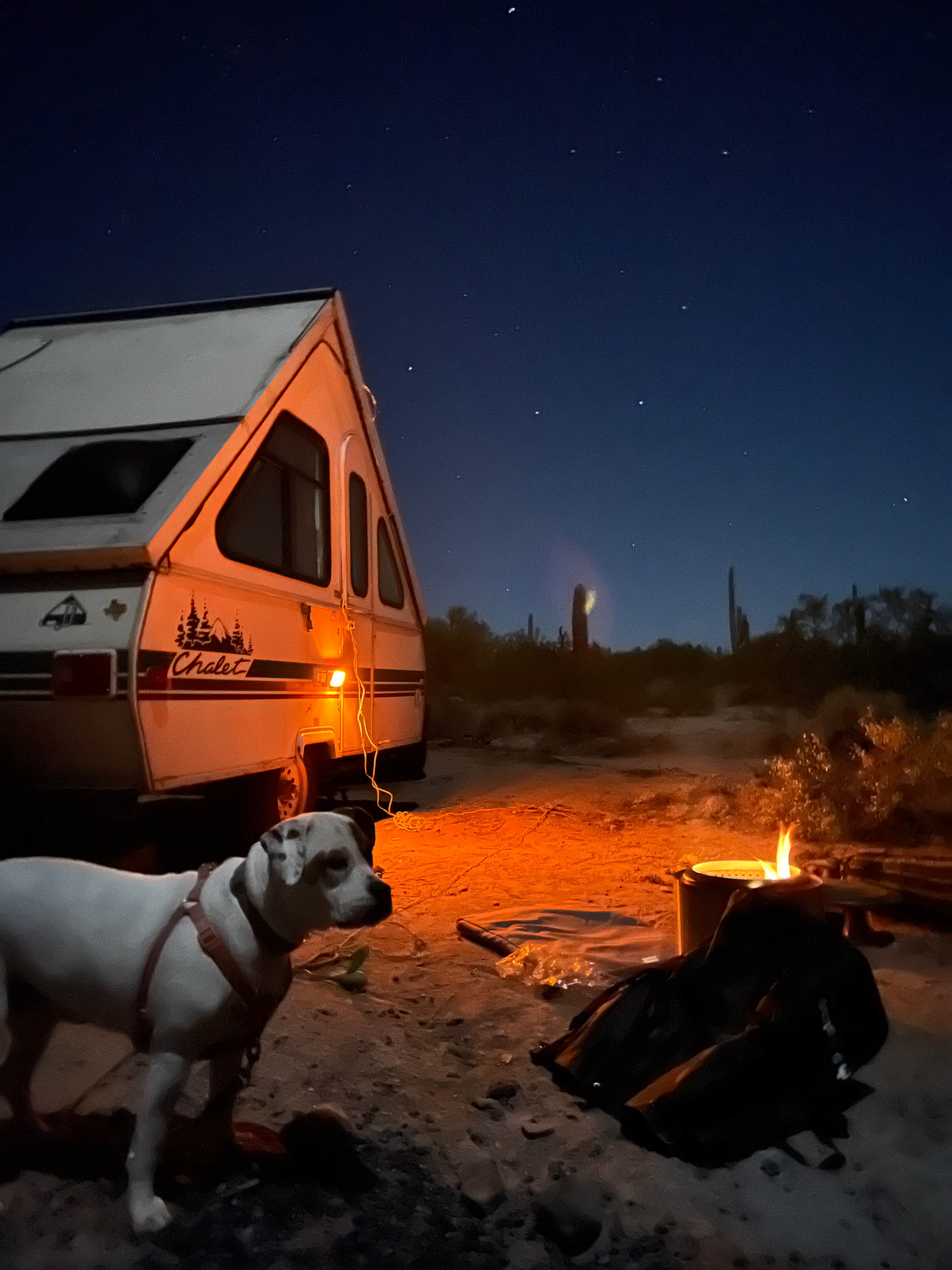 Jared S.'s photo of camping with pets at Cactus Forest Dispersed near Arizona City, AZ