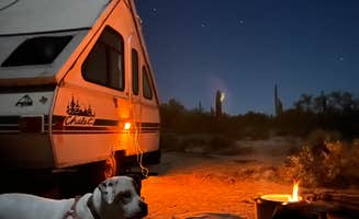 Jared S.'s photo of camping with pets at Cactus Forest Dispersed near Catalina, AZ