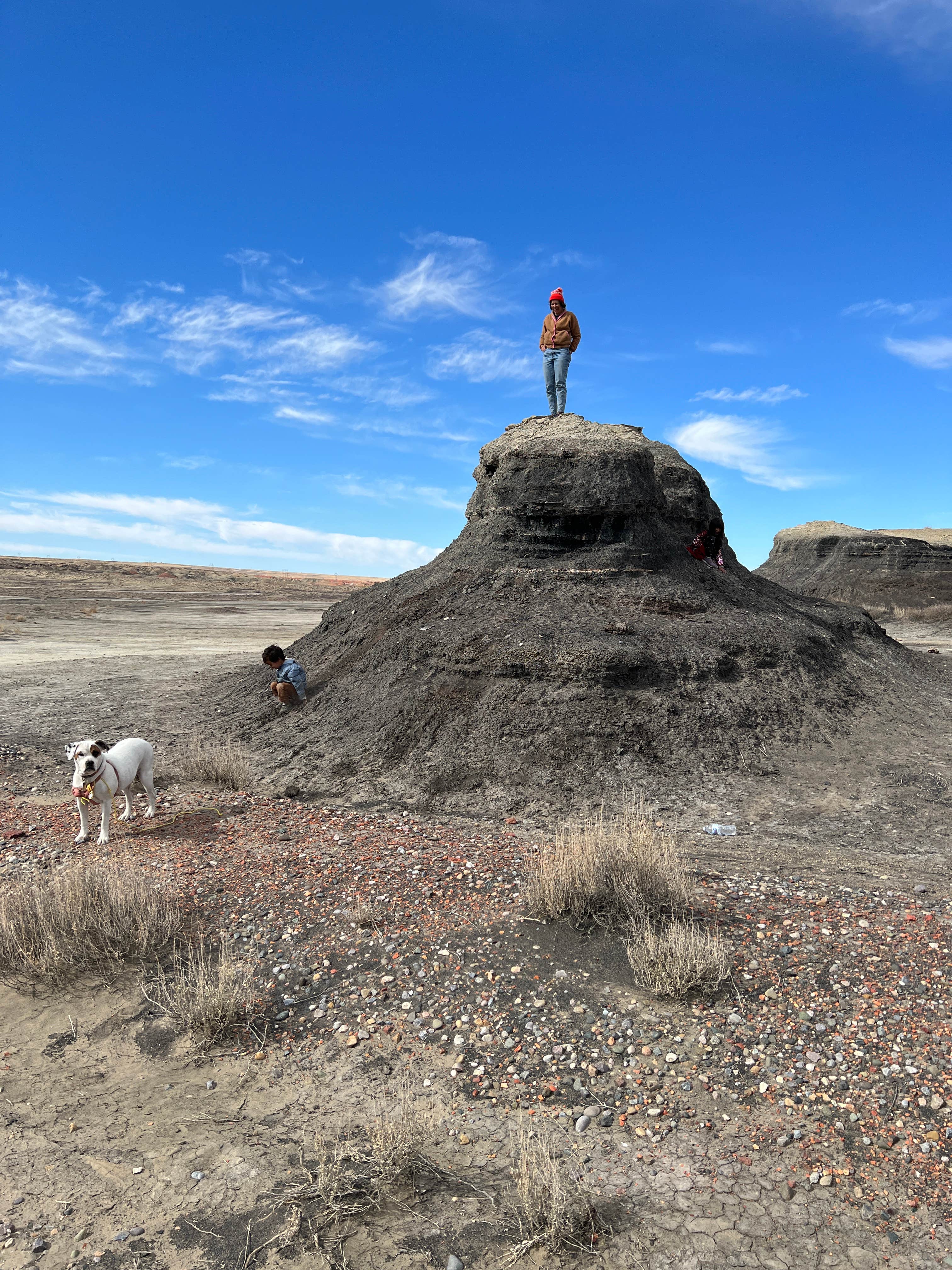 Camper-submitted photo at Bisti / De-Na-Zin Wilderness Area near Flora Vista, NM