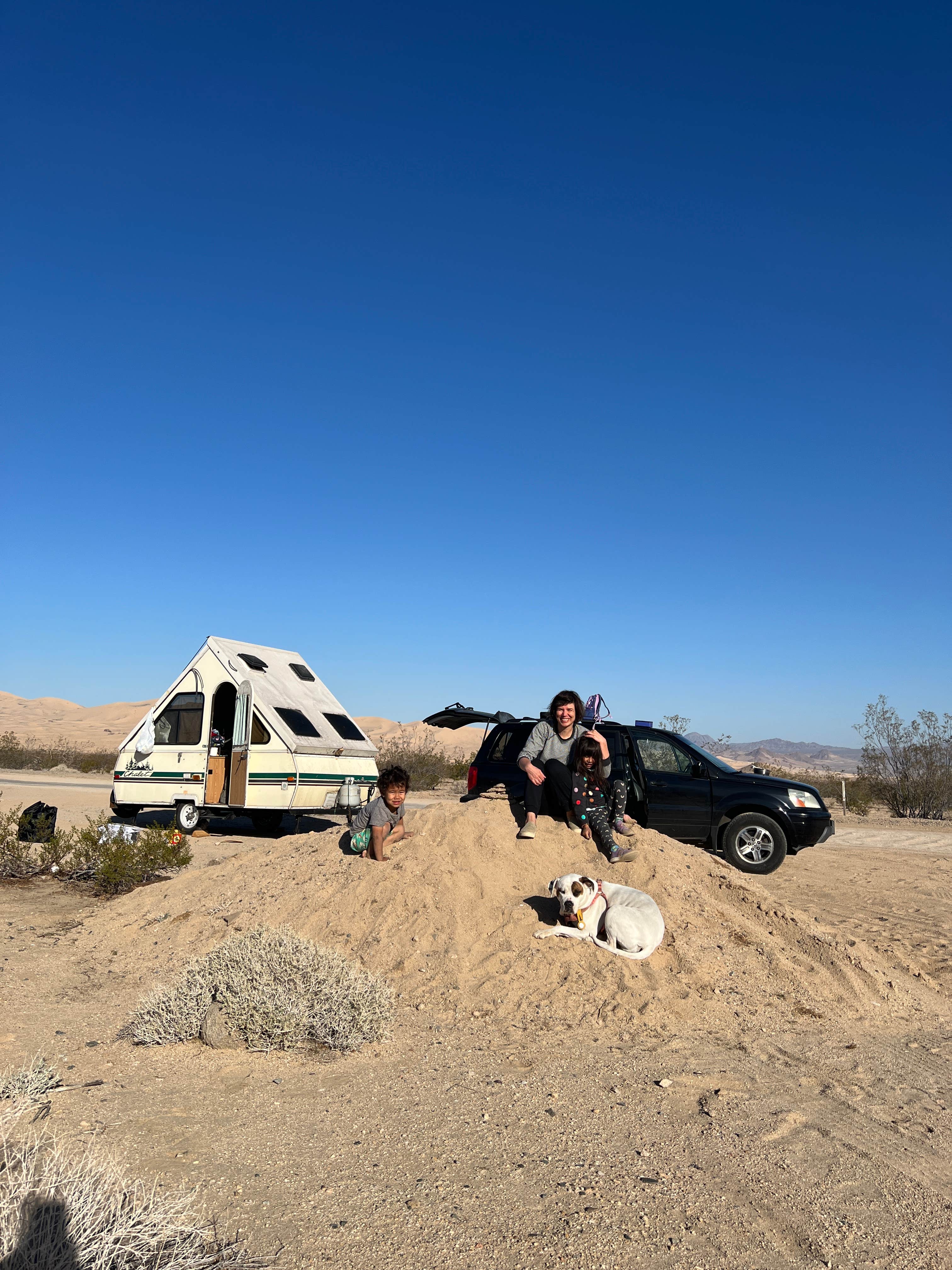 Jared S.'s photo of camping with pets at Kelso Dunes Dispersed — Mojave National Preserve near Mojave National Preserve