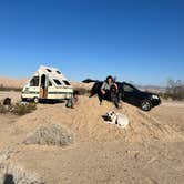 Review photo of Kelso Dunes Dispersed — Mojave National Preserve by Jared S., March 21, 2022