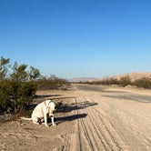 Review photo of Kelso Dunes Dispersed — Mojave National Preserve by Jared S., March 21, 2022