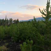 Review photo of Prospector Campground by Melinda K., July 11, 2018