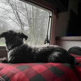 Review photo of Armitage Park & Campground - a Lane County Park by L & J L., March 21, 2022