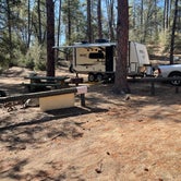 Review photo of Powell Springs Campground - Prescott National Forest by Cathy B., March 22, 2022