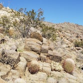 Review photo of Blair Valley Primitive Campground — Anza-Borrego Desert State Park by Tony O., March 22, 2022