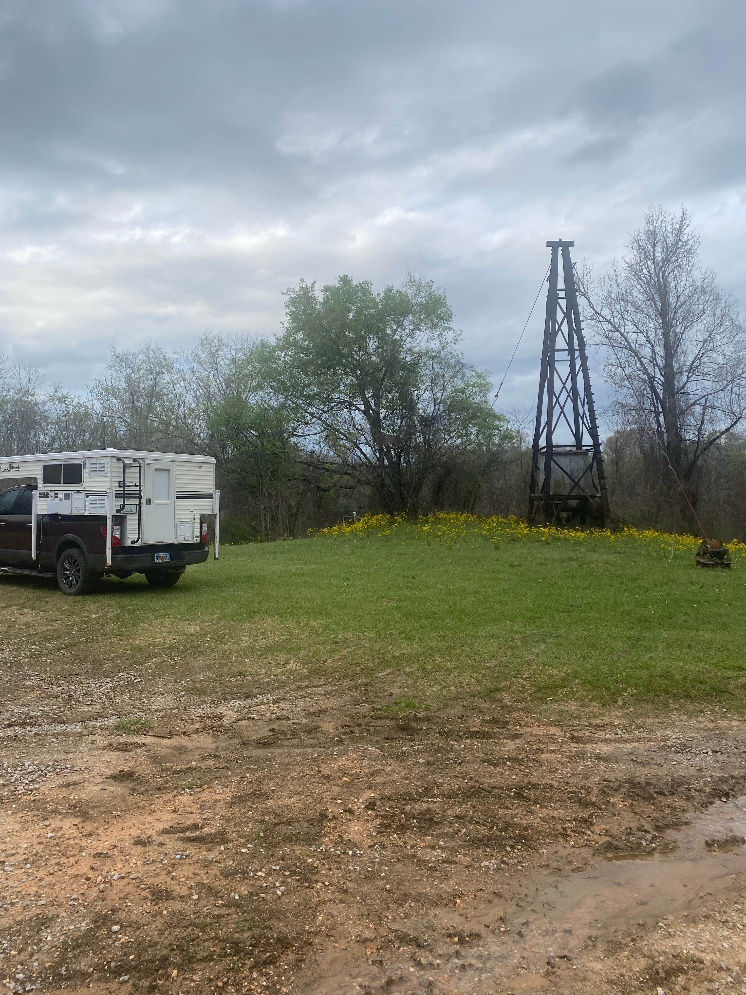 Camping near Silver Creek Park: Haines Island, Monroeville, Alabama