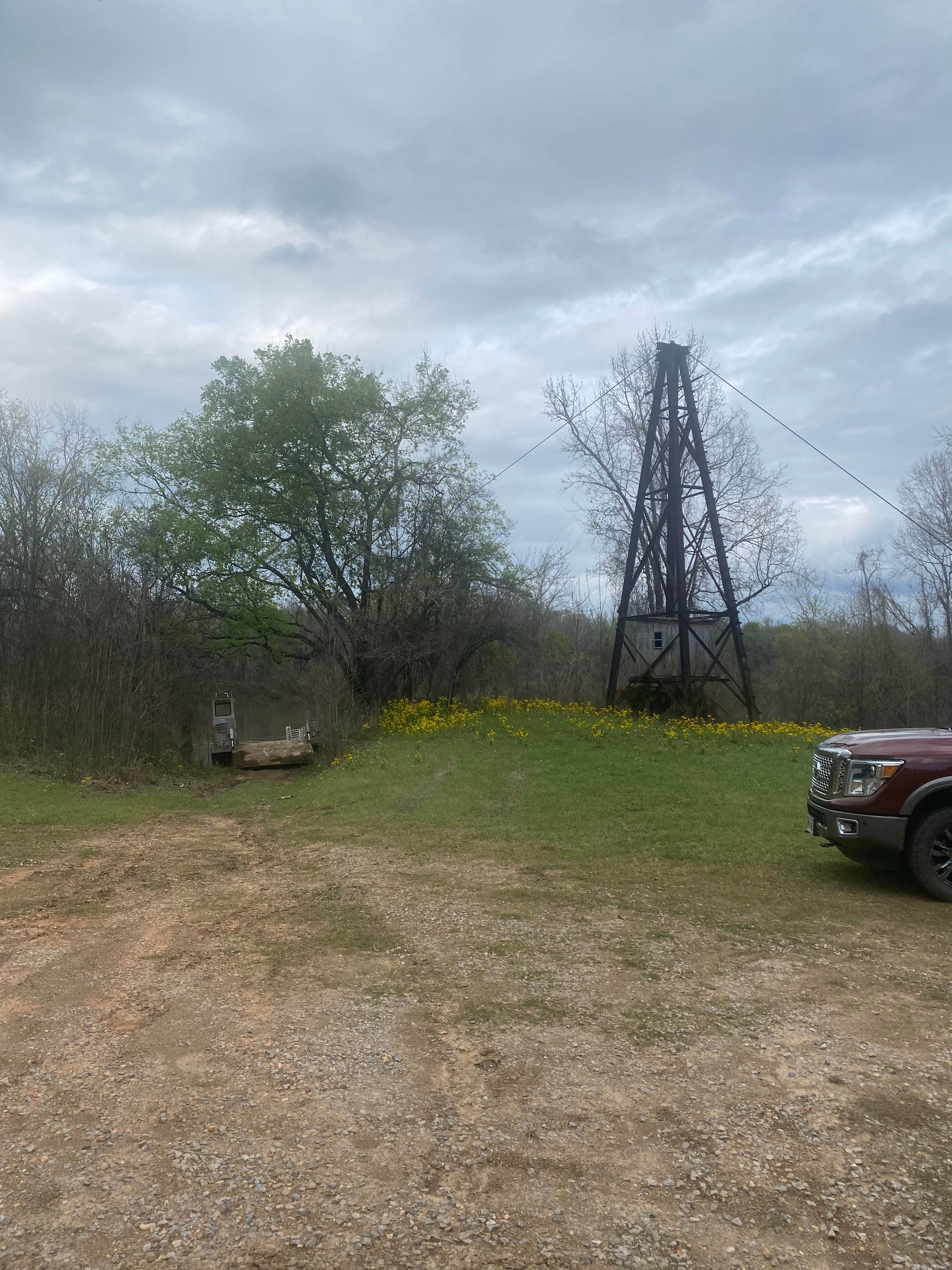 Camper-submitted photo at Haines Island near Camden, AL