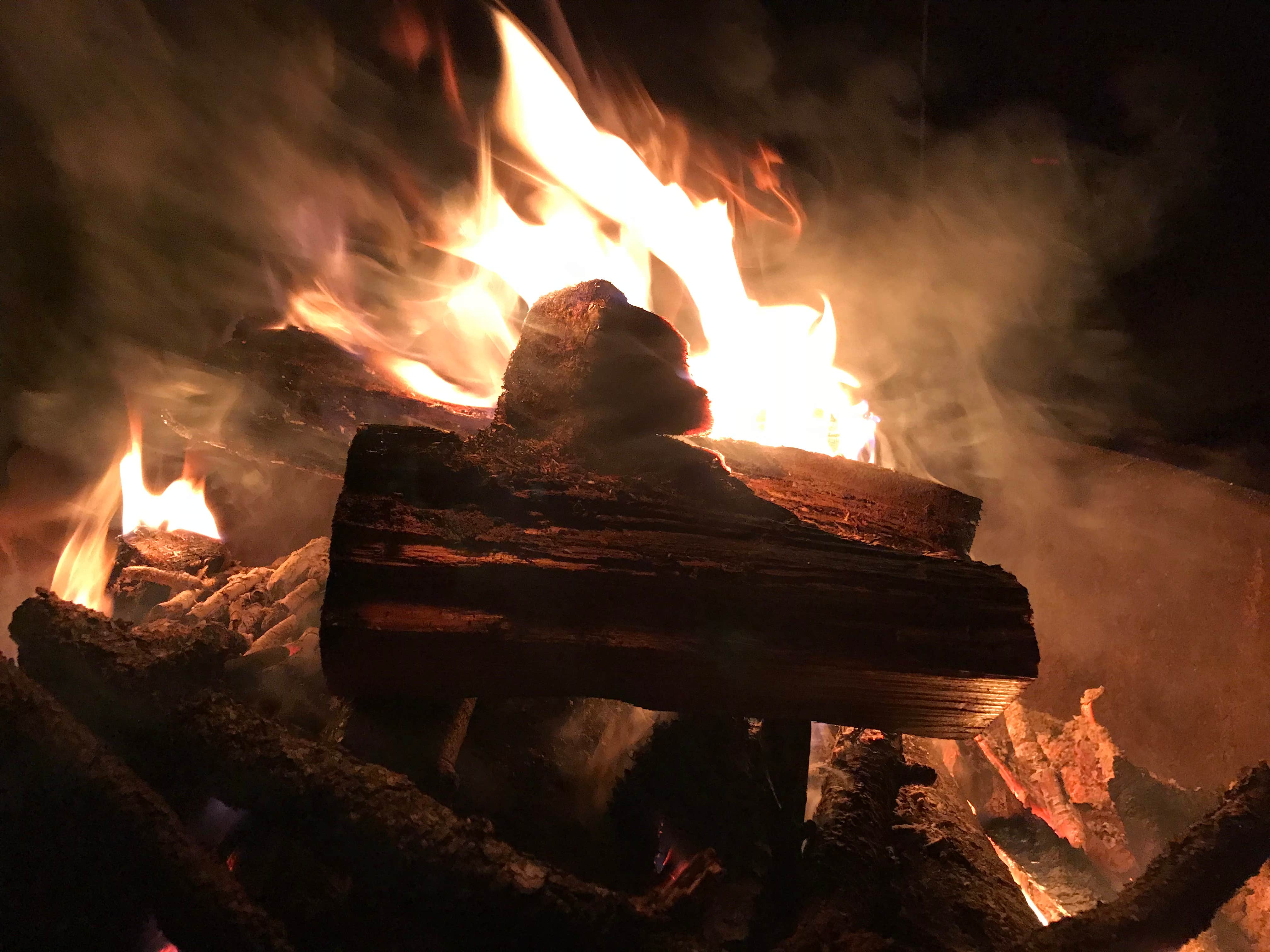 Camper submitted image from Chickasabogue Park - Temporarily Closed - 3