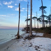 Review photo of Dr. Julian G. Bruce St. George Island State Park Campground by Kelly E., March 22, 2022
