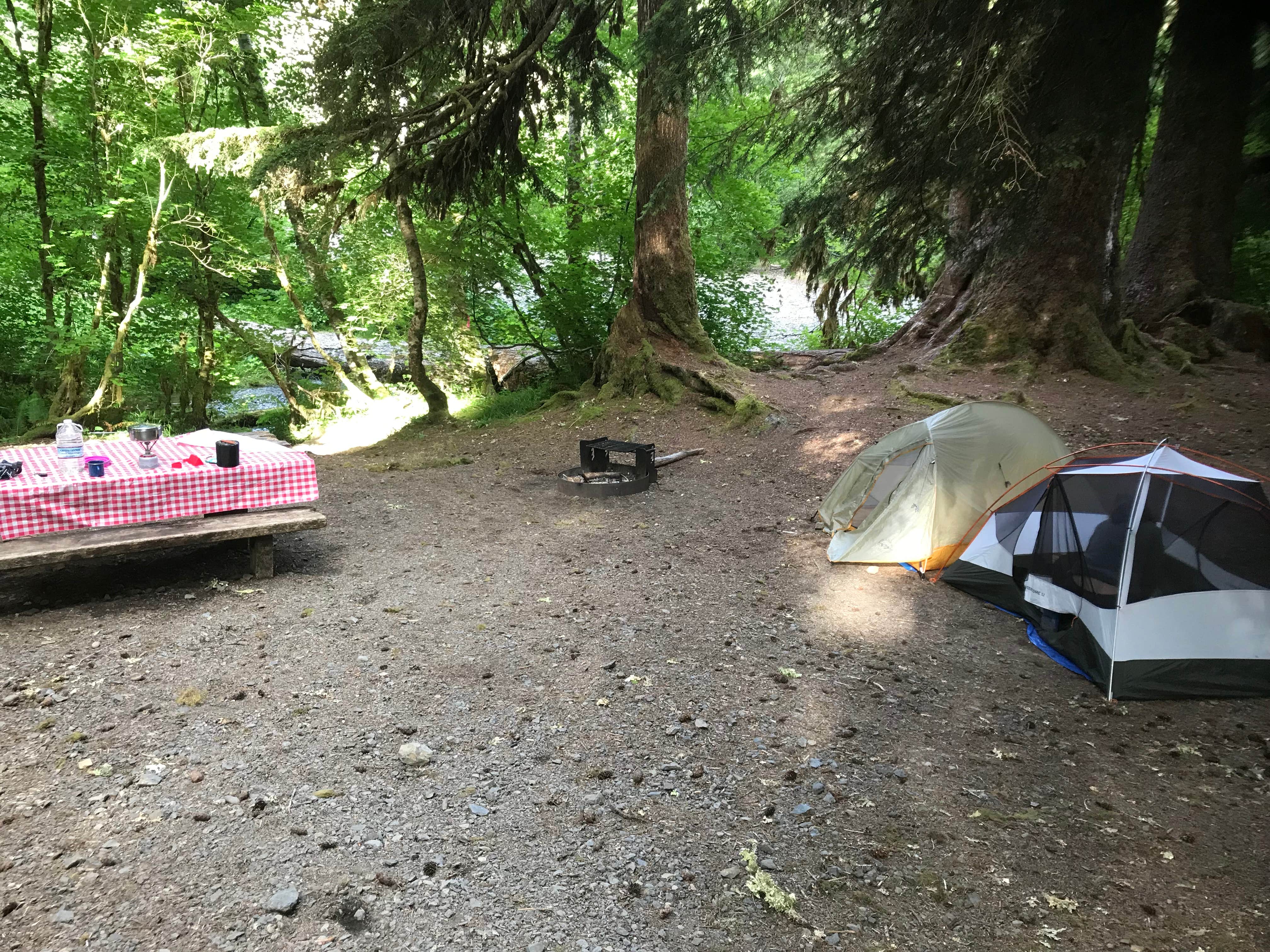 Carmen T.'s photo at Sol Duc Campground - Group — Olympic National Park near Olympic National Park