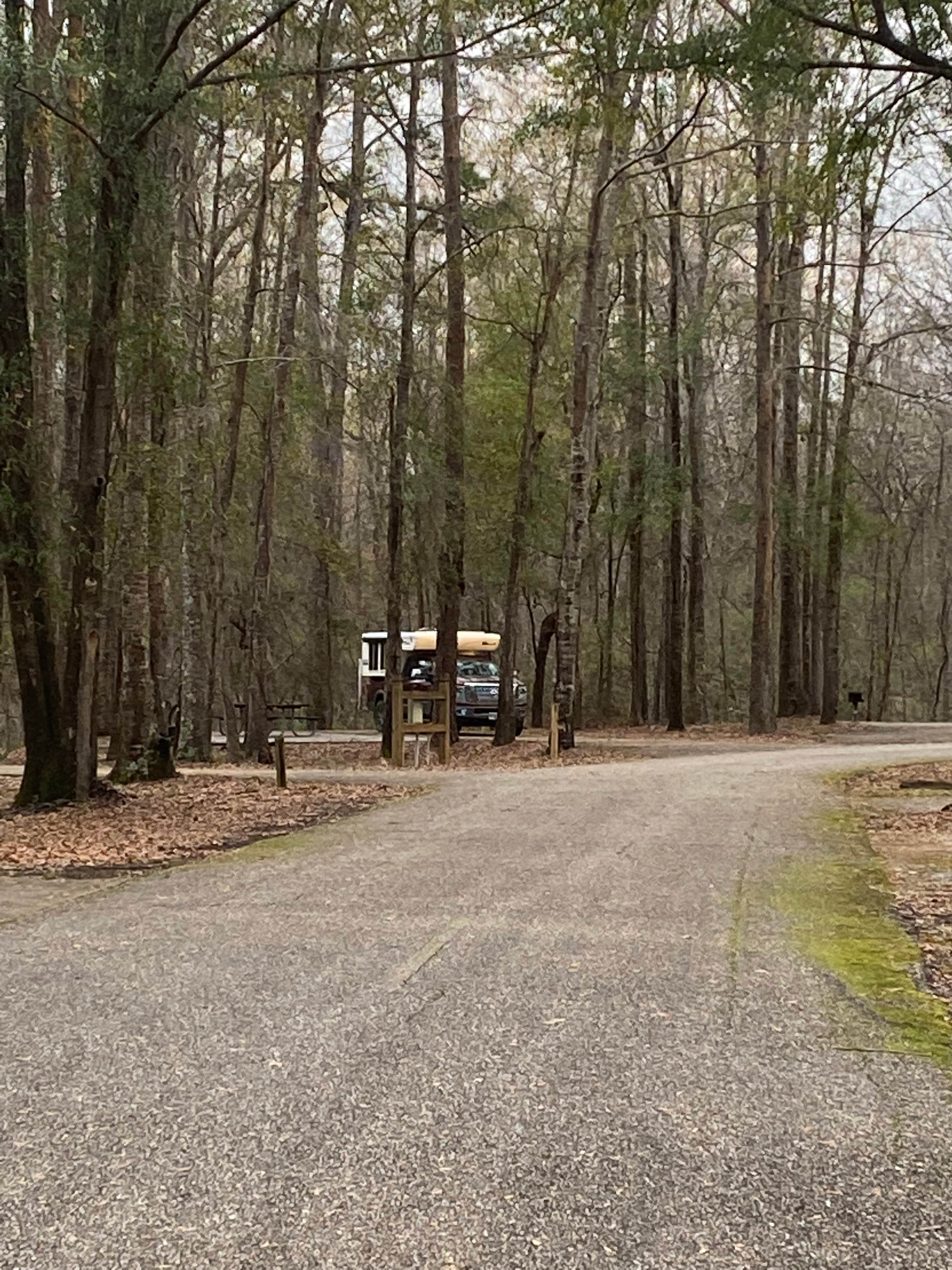 Camper submitted image from COE Alabama River Lakes Chilatchee Creek Campground - 3