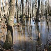 Review photo of Chickasabogue Park - Temporarily Closed by Abi S., July 11, 2018