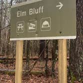 Review photo of Elm Bluff Campground — Alabama River Lakes by Kelly E., March 22, 2022