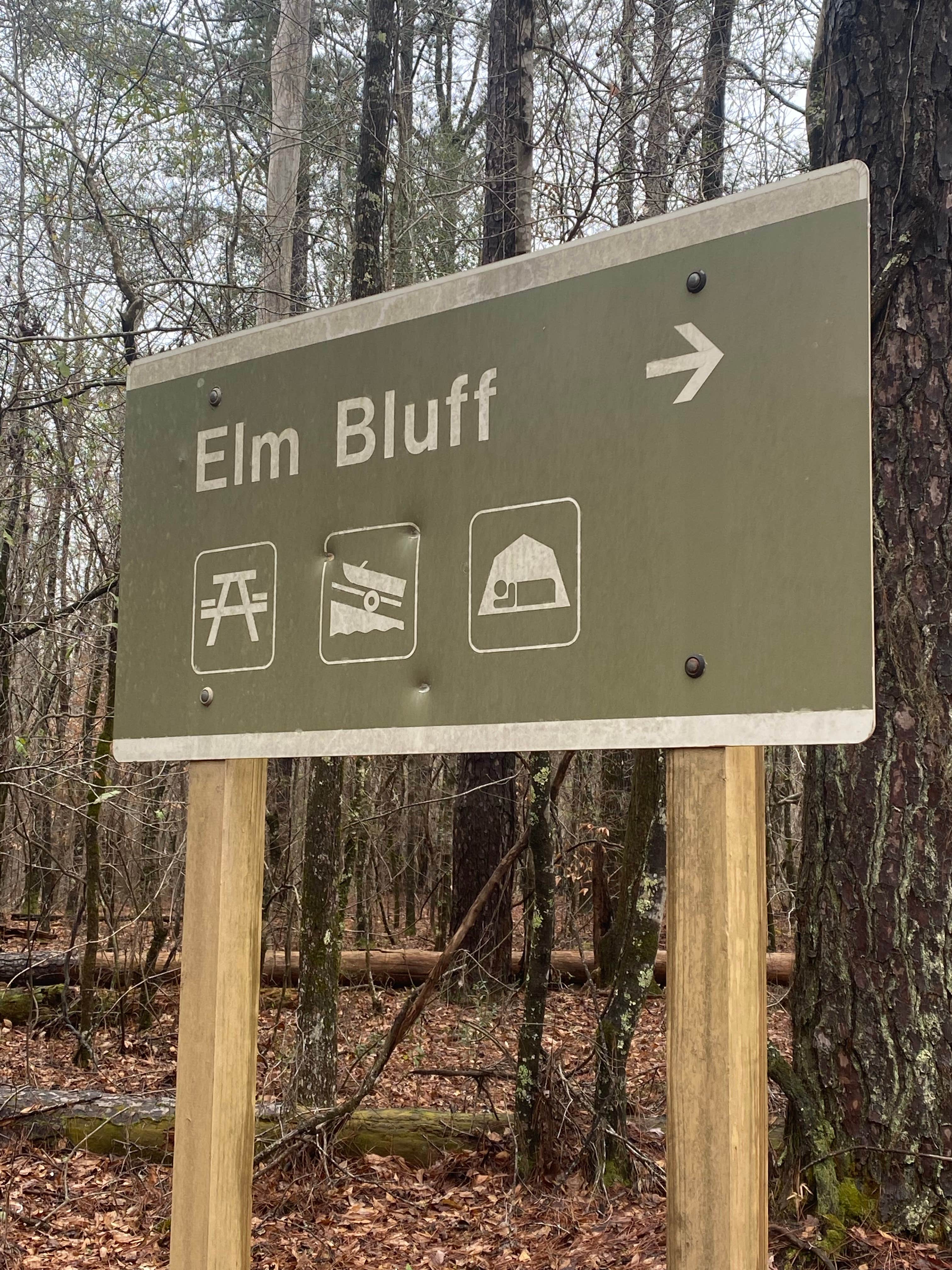 Camper submitted image from Elm Bluff Campground — Alabama River Lakes - 3