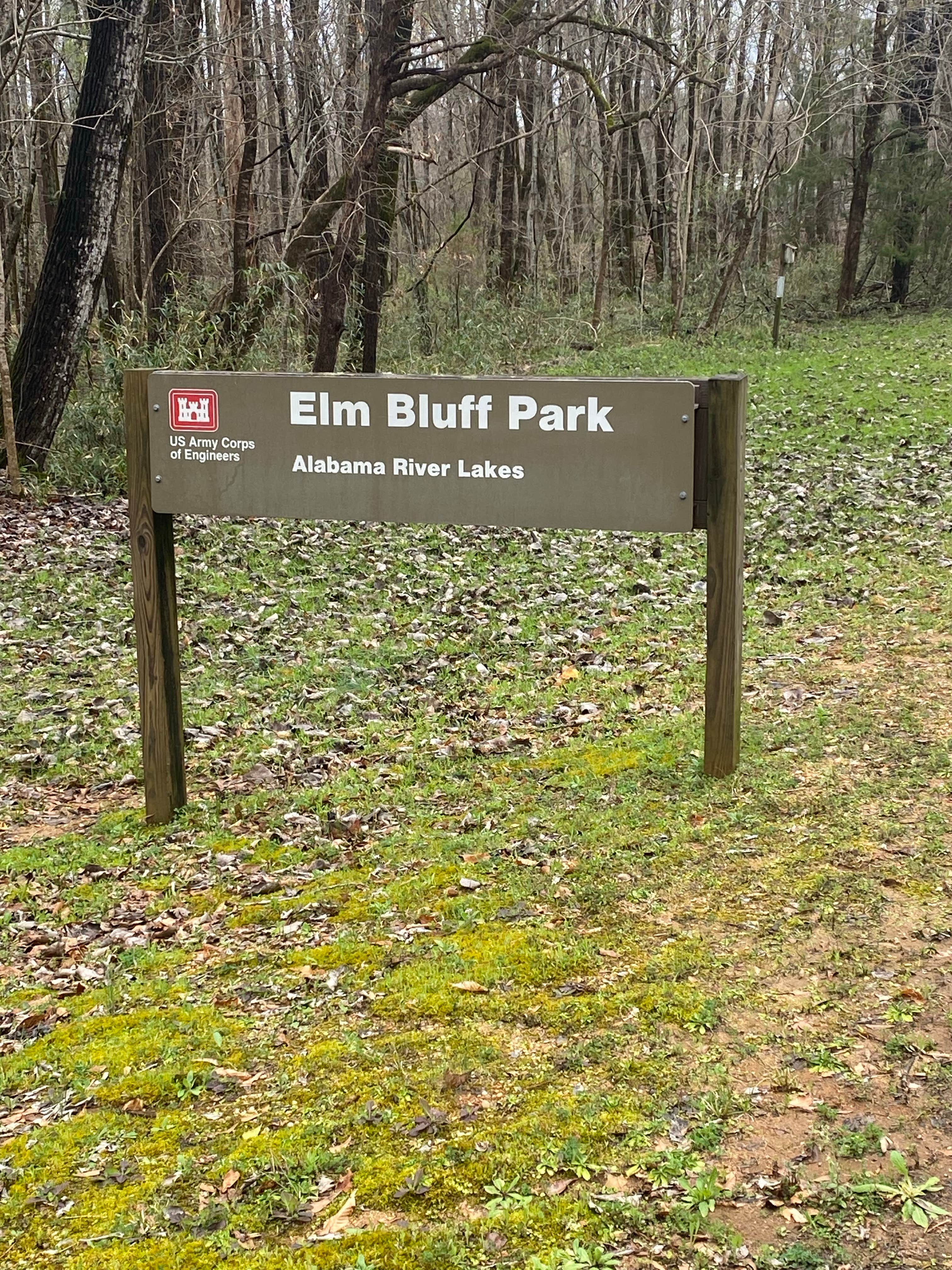 Camper submitted image from Elm Bluff Campground — Alabama River Lakes - 5