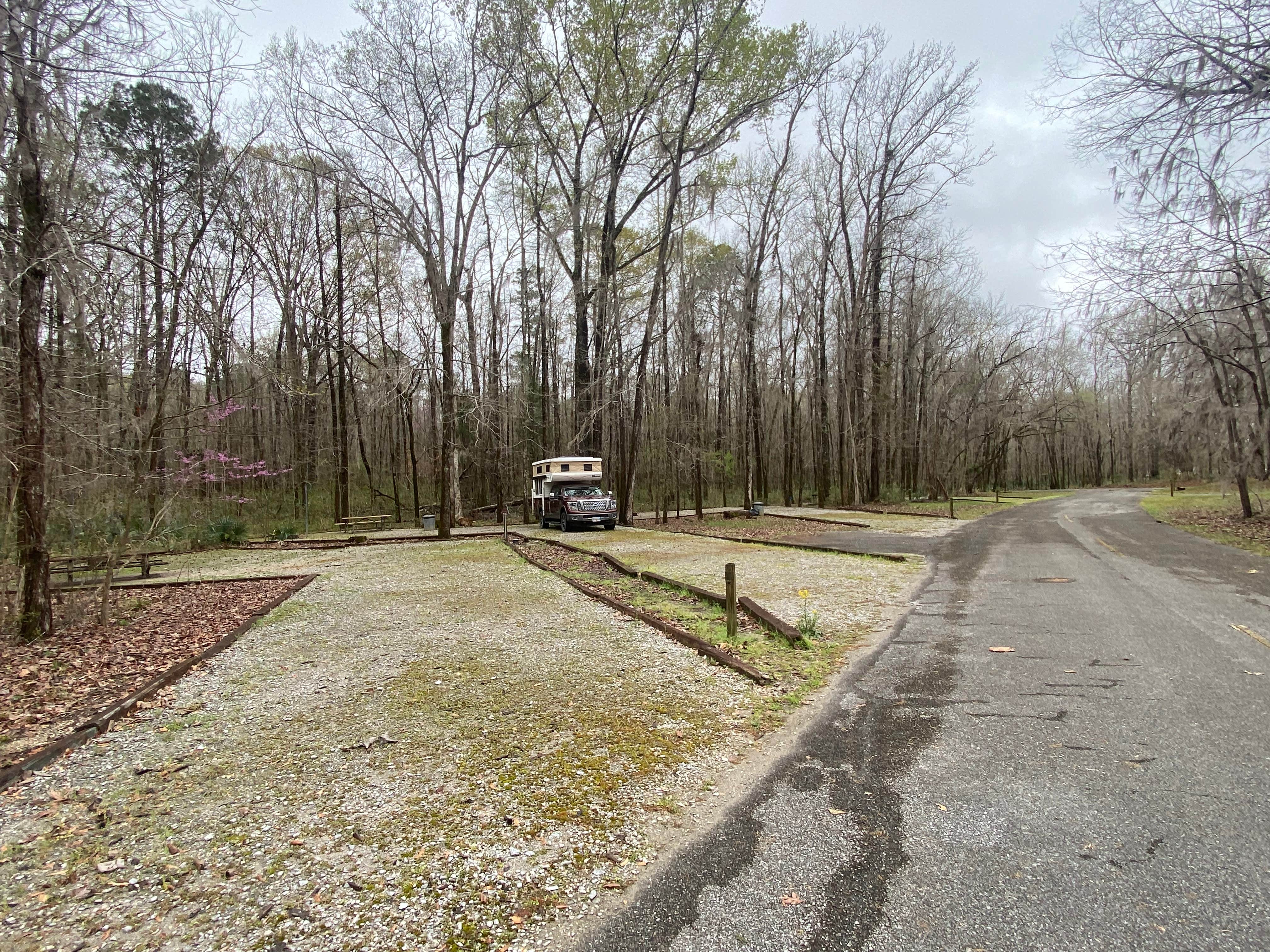 Camper submitted image from Elm Bluff Campground — Alabama River Lakes - 2