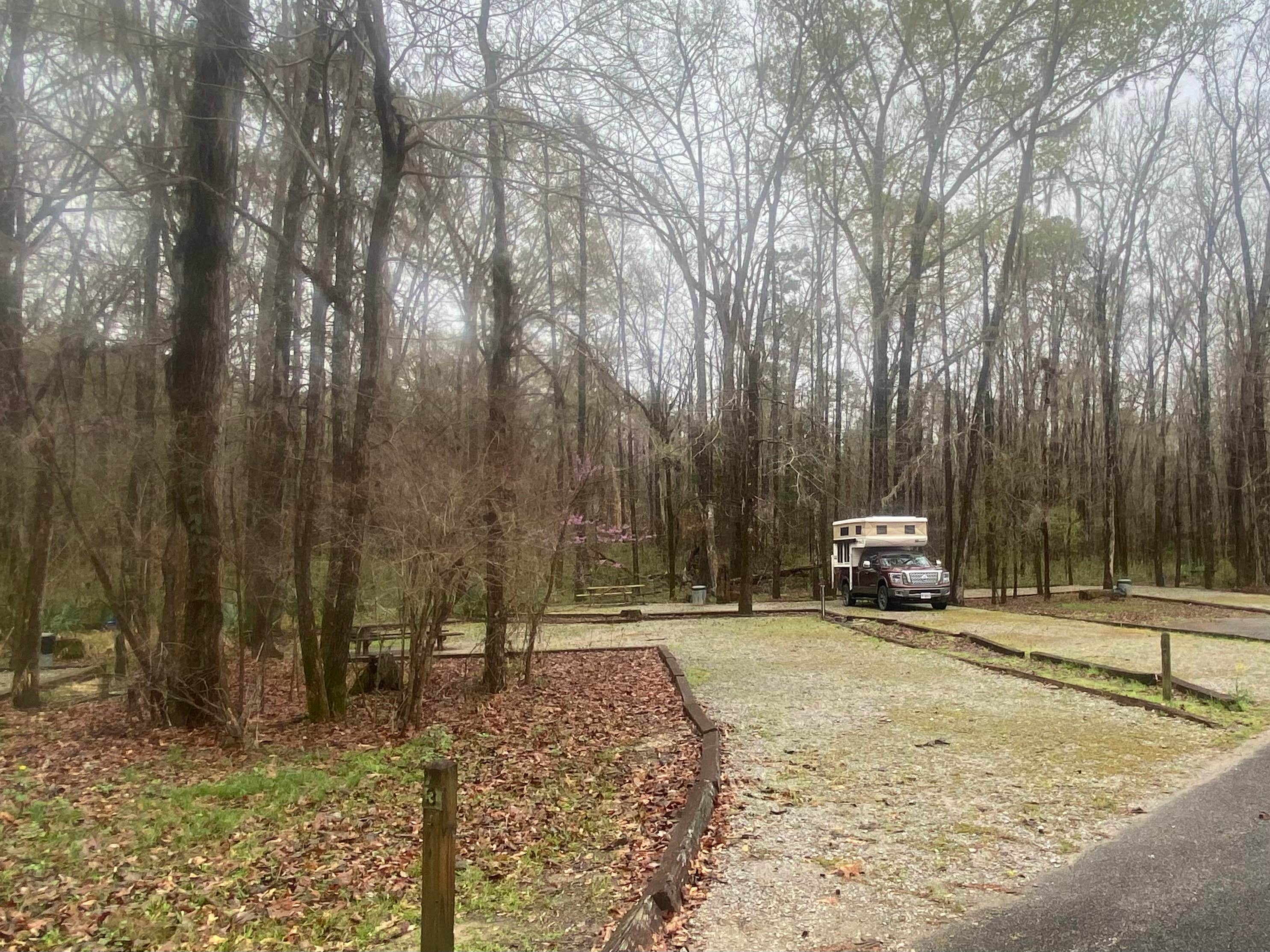 Camper-submitted photo at Elm Bluff Campground — Alabama River Lakes near Marion Junction, AL