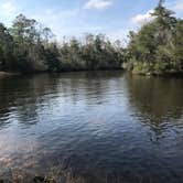 Review photo of Chickasabogue Park - Temporarily Closed by Abi S., July 11, 2018