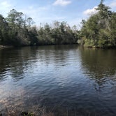 Review photo of Chickasabogue Park - Temporarily Closed by Abi S., July 11, 2018