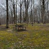 Review photo of Meriwether Lewis Campground by Hannah W., March 22, 2022