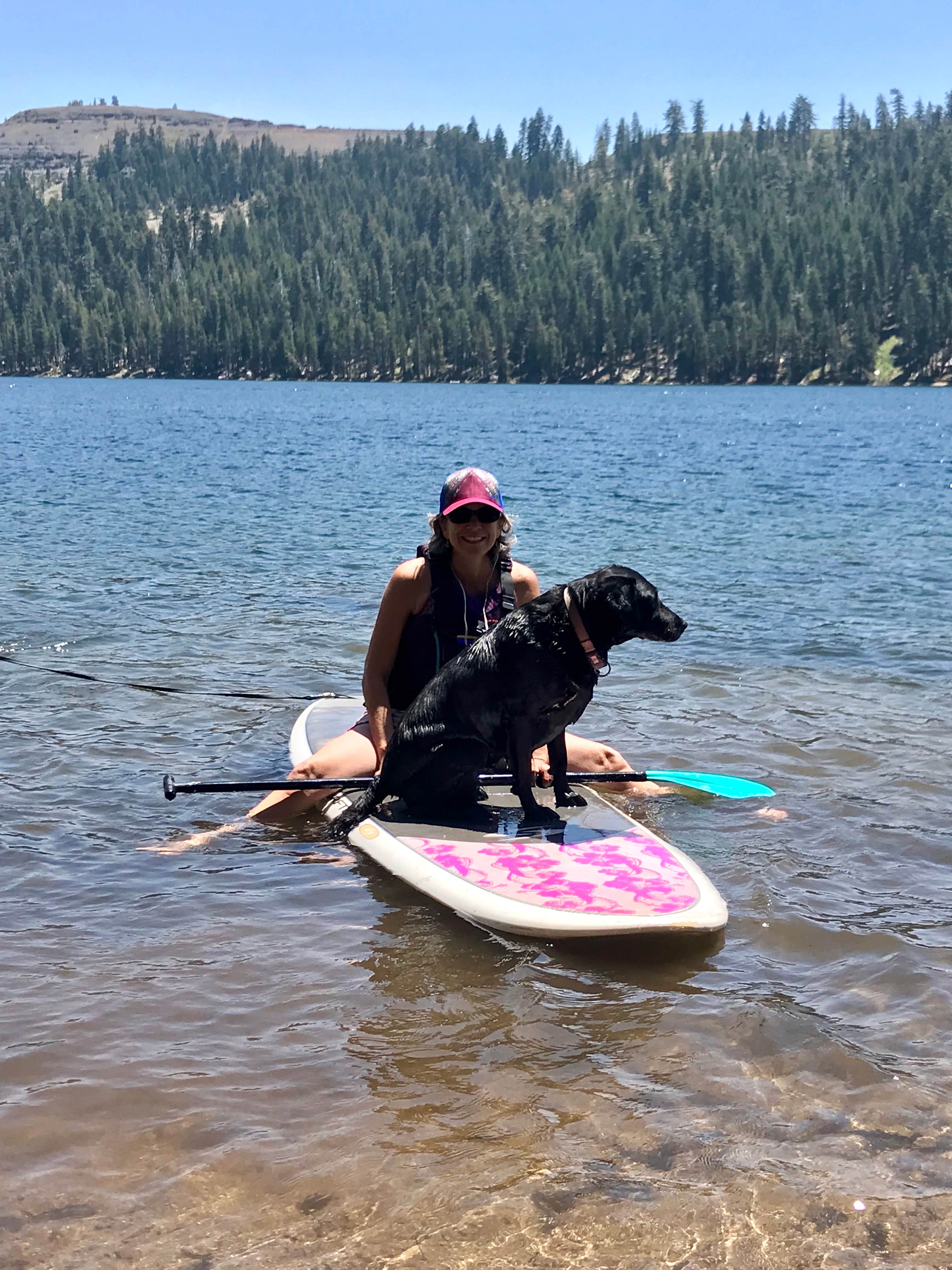 are dogs allowed at lake alpine campground