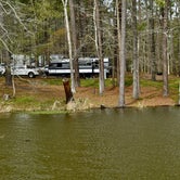 Review photo of Percy Quin State Park Campground by David B., March 22, 2022