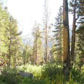 Review photo of Big Pine Creek Campground by Melinda K., July 11, 2018
