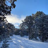 Review photo of Mather Campground — Grand Canyon National Park by Chelsea S., March 22, 2022