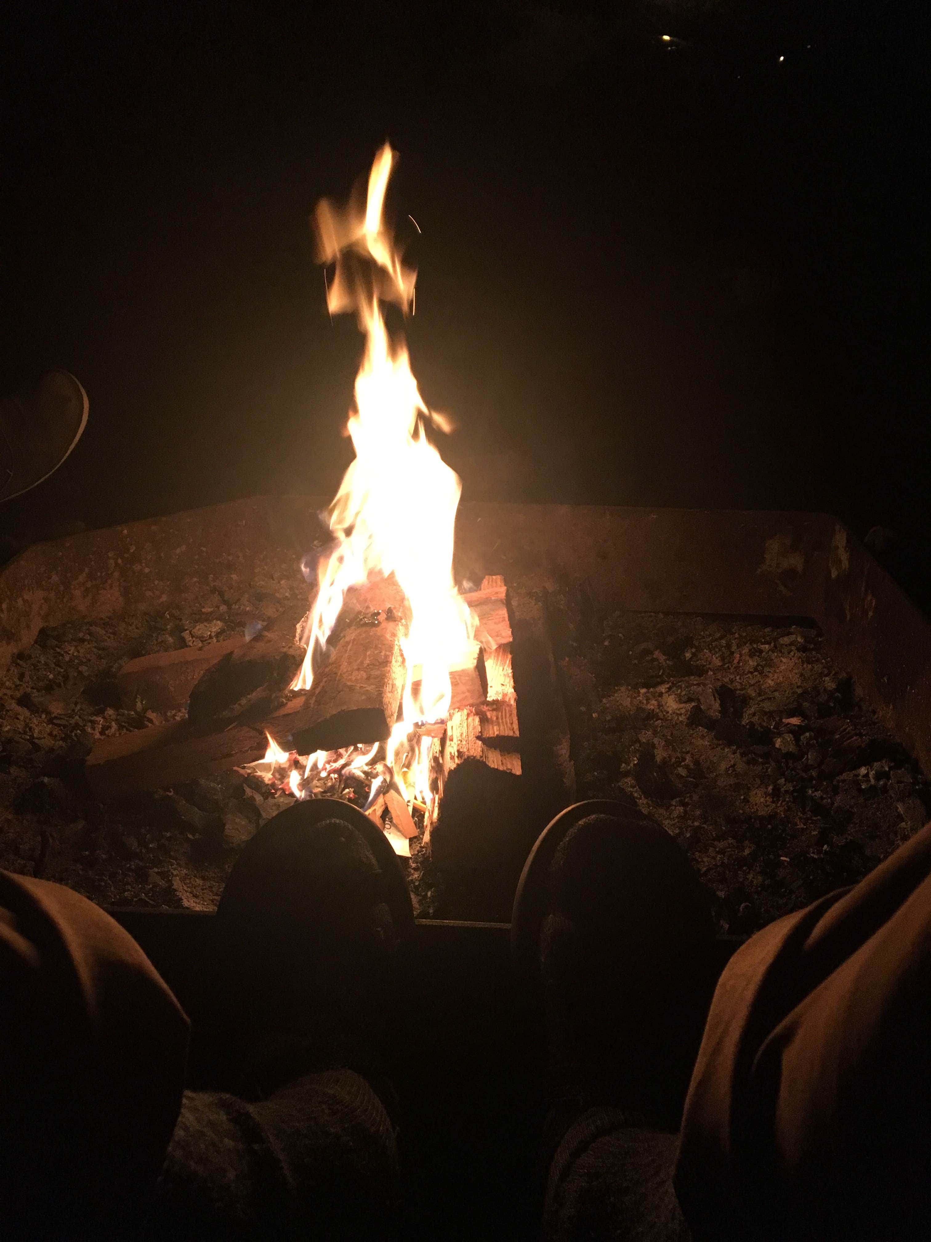 Zach A.'s photo at Alder Lake Park near Elbe, WA