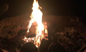 Zach A.'s photo at Alder Lake Park near Elbe, WA