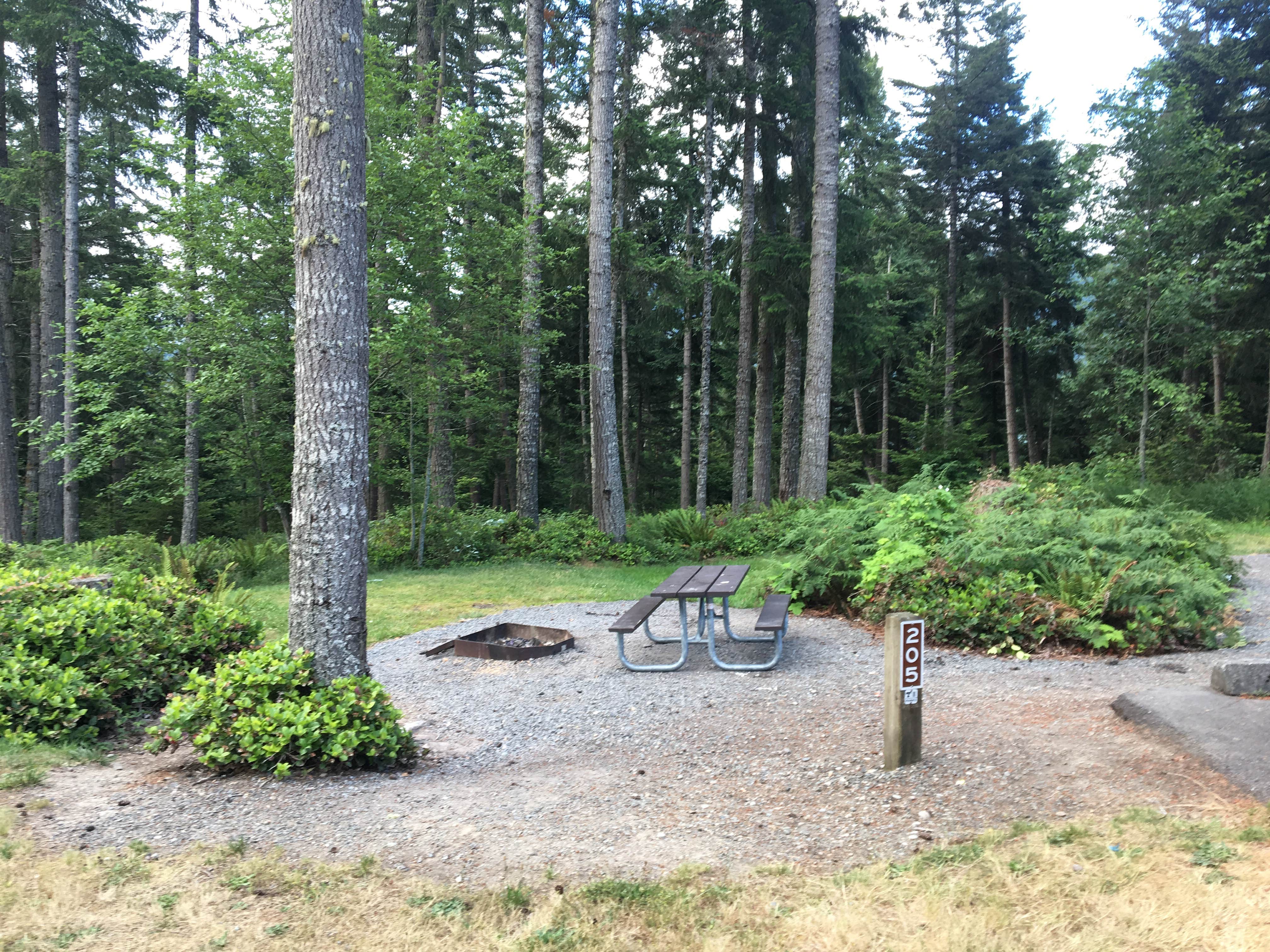 Camper-submitted photo at Alder Lake Park near Orting, WA