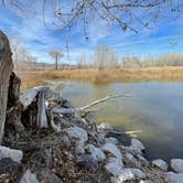 Review photo of Upper Campground - Pahranagat National Wildlife Refuge by Erik R., March 22, 2022