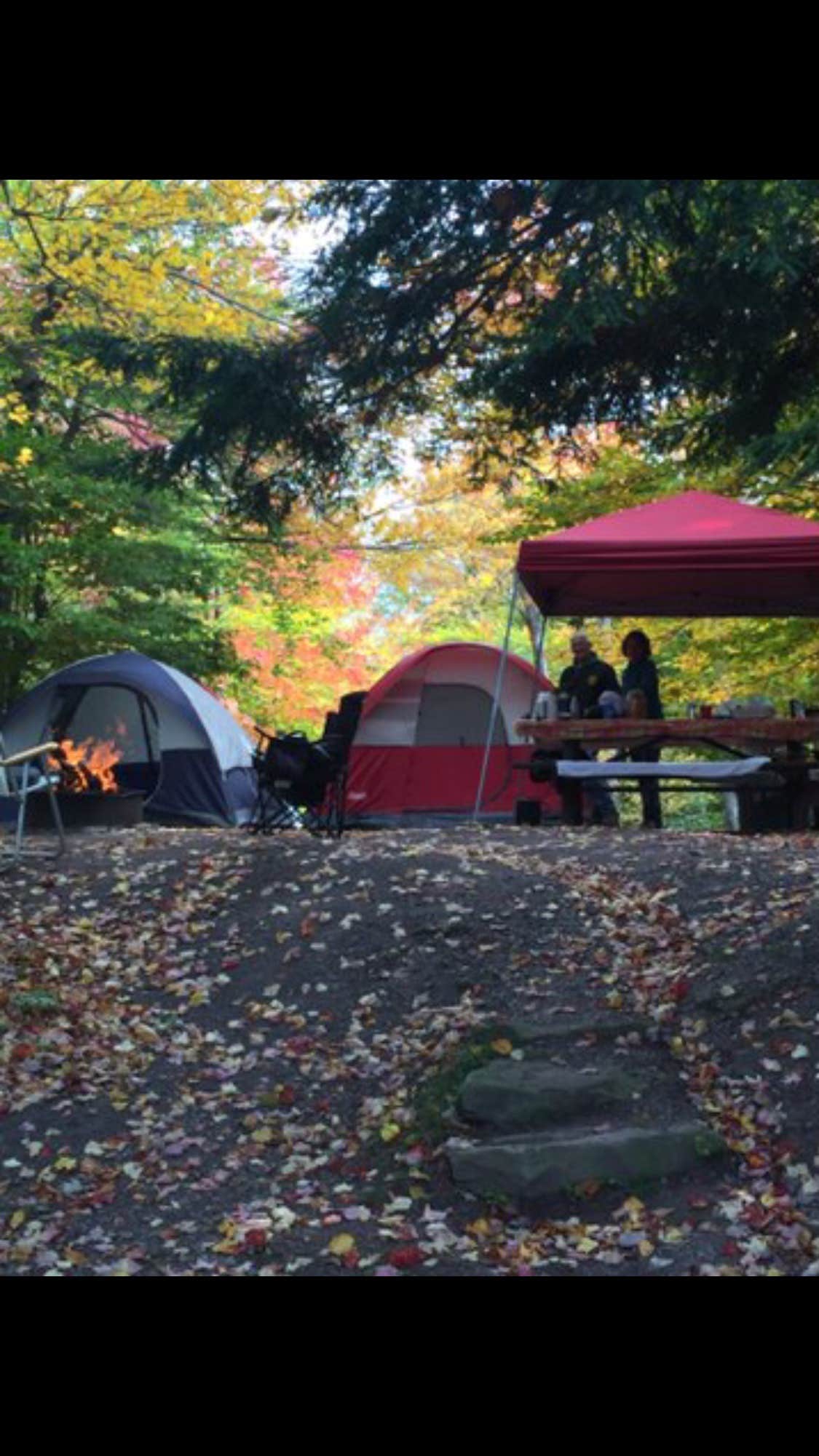 Carolyn M.'s photo at Ricketts Glen State Park Campground near Forksville, PA