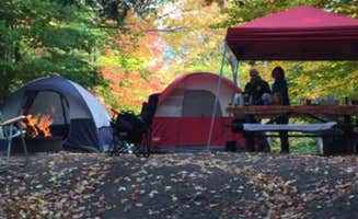 Carolyn M.'s photo at Ricketts Glen State Park Campground near Forksville, PA