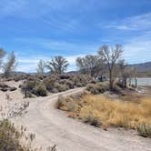 Review photo of Upper Campground - Pahranagat National Wildlife Refuge by Erik R., March 22, 2022