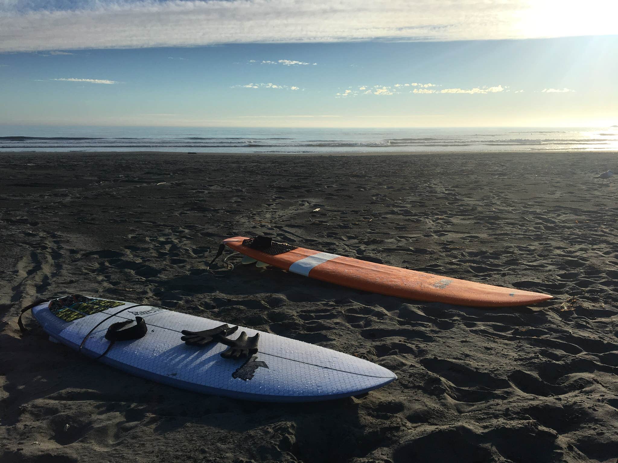 Camper-submitted photo at Twin Harbors State Park Campground near Aberdeen, WA