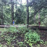 Review photo of Dennis Cove Campground by Jenni O., July 11, 2018