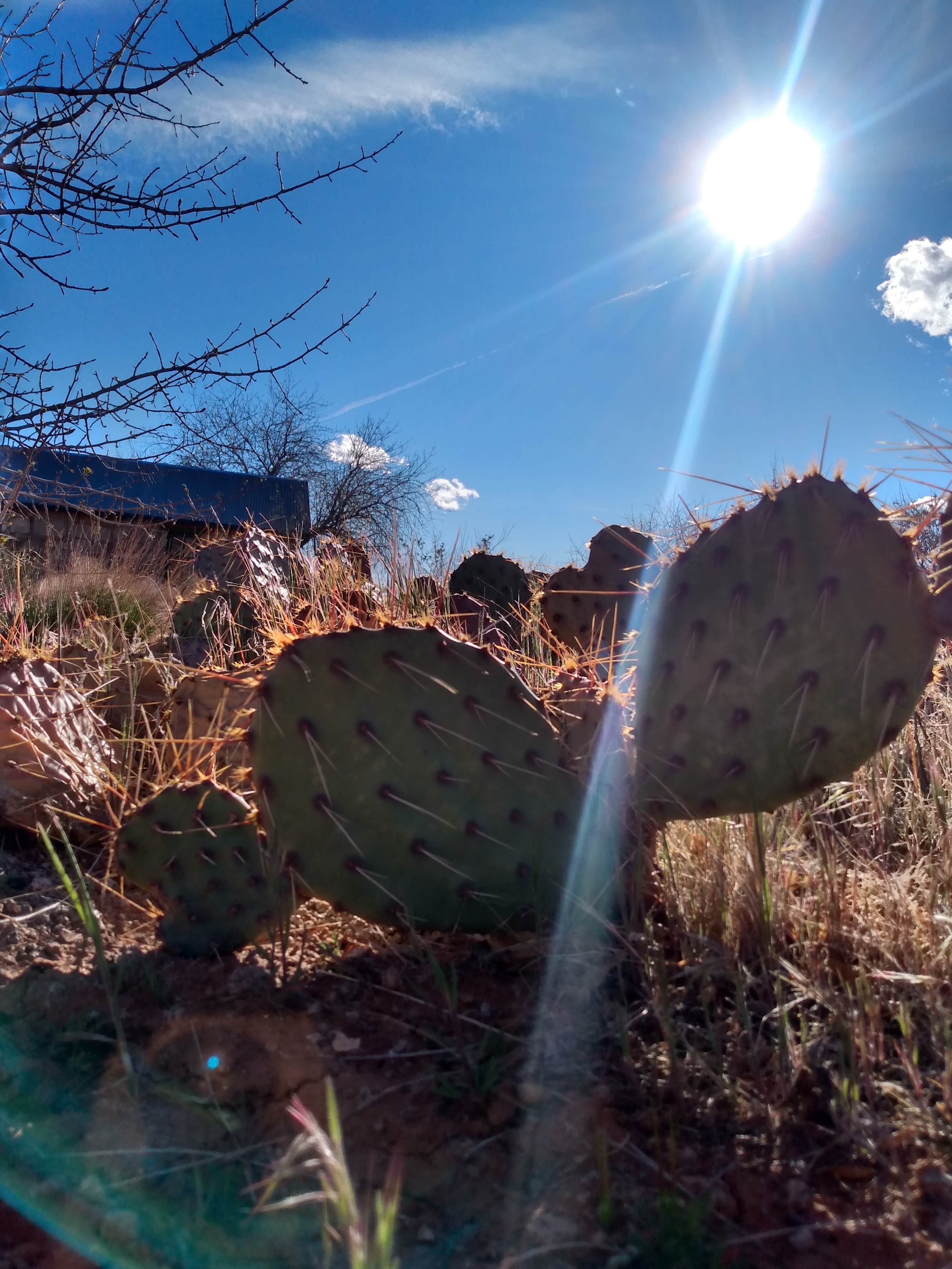 Camper-submitted photo at Leeds RV Park & Motel near Ivins, UT