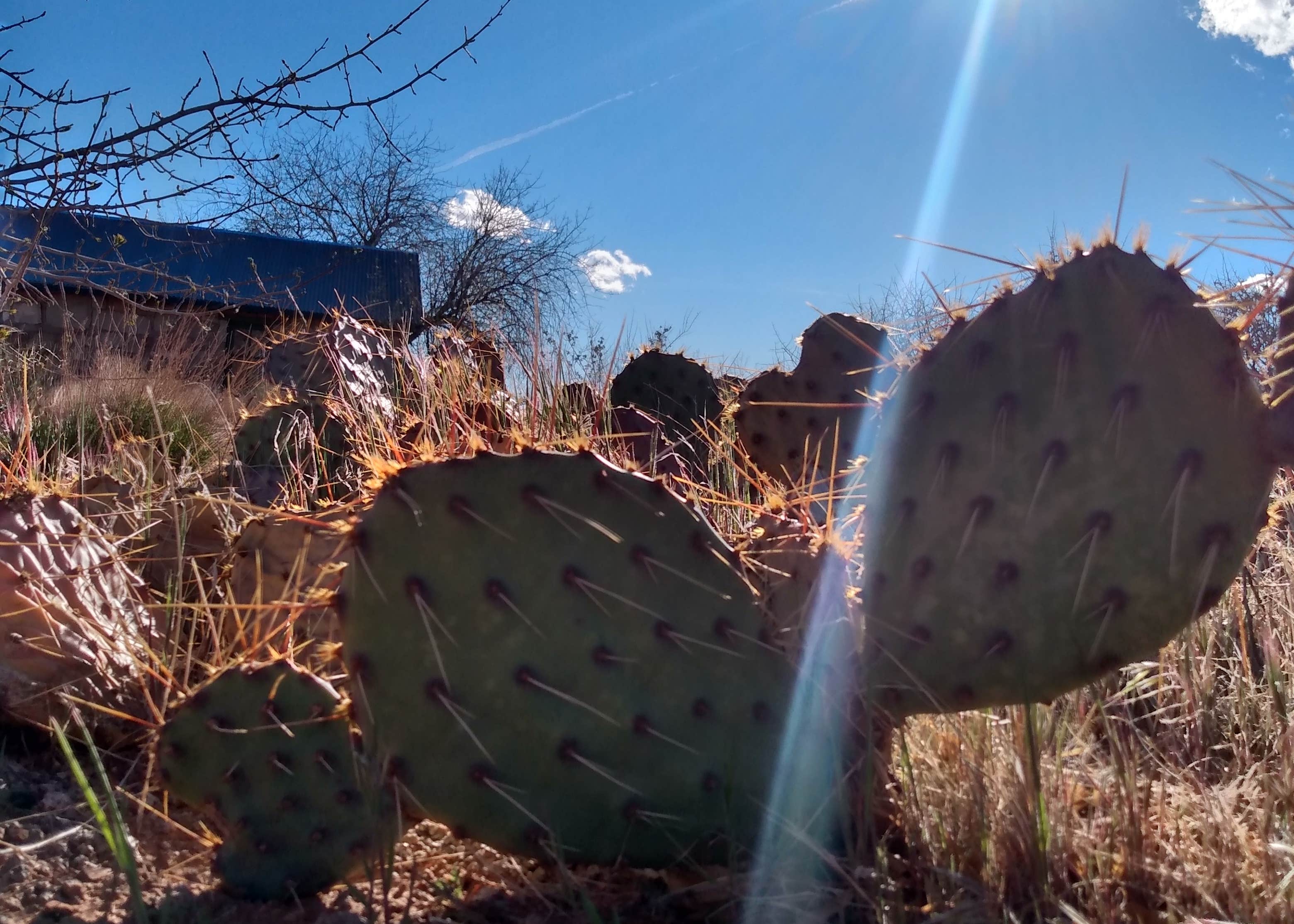 Leeds RV Park & Motel Camping The Dyrt