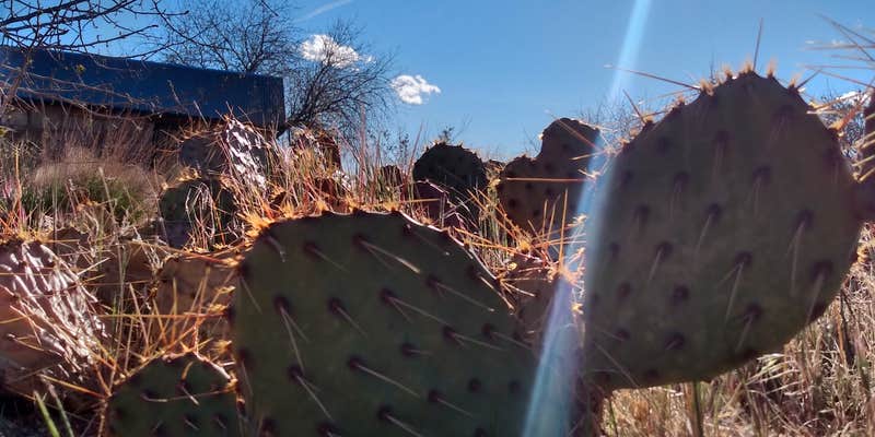 Camper submitted image from Leeds RV Park & Motel